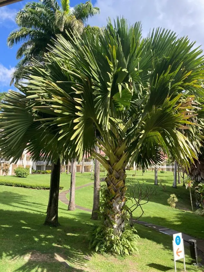 Le Paradis Bleu De Ste Luce T3 Vue Mer Magnifique Dans Une Residence De Vacances Sainte-Luce Martinik