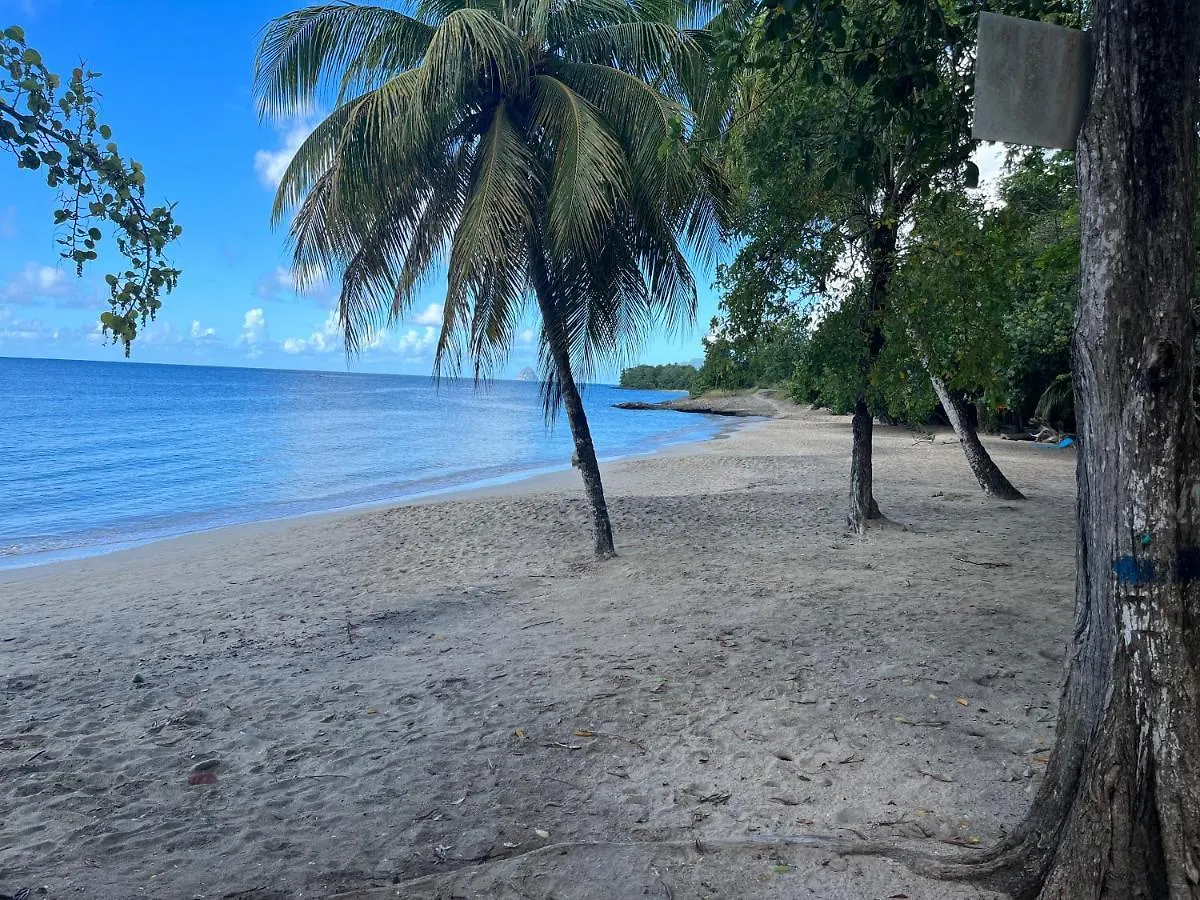 Le Paradis Bleu De Ste Luce T3 Vue Mer Magnifique Dans Une Residence De Vacances Sainte-Luce