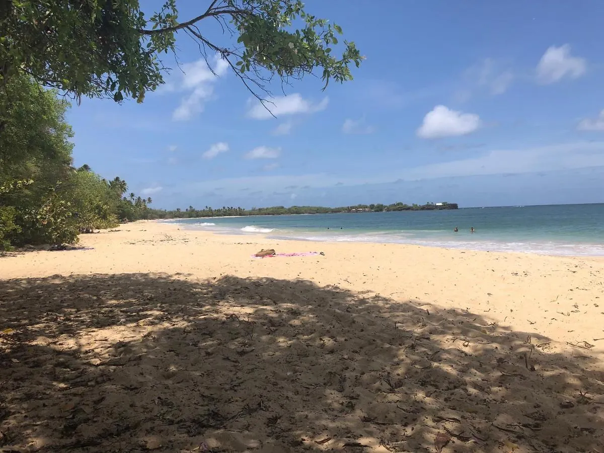 Daire Le Paradis Bleu De Ste Luce T3 Vue Mer Magnifique Dans Une Residence De Vacances Sainte-Luce