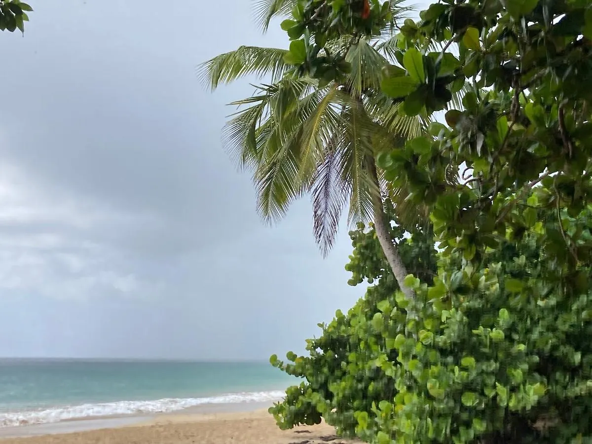 Le Paradis Bleu De Ste Luce T3 Vue Mer Magnifique Dans Une Residence De Vacances Sainte-Luce